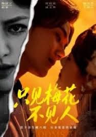 只见梅花不见人(全集)